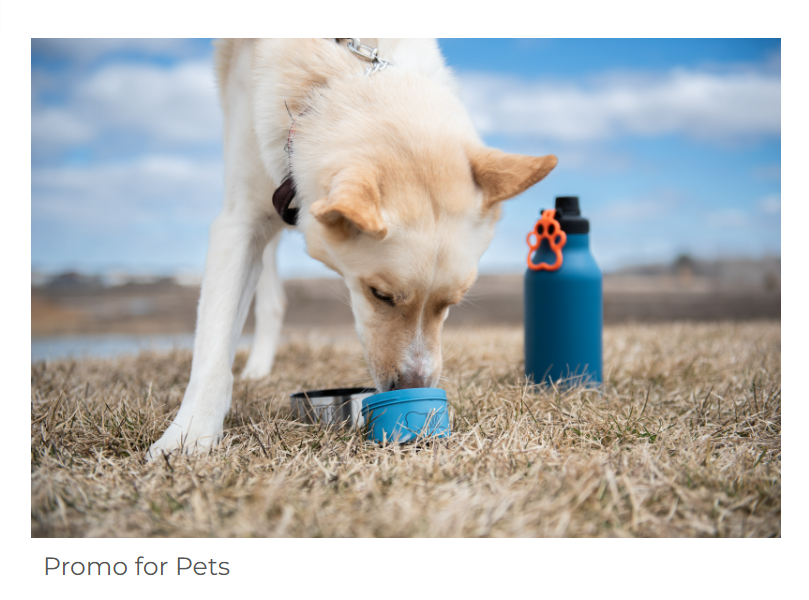TSC Product Category - Pets