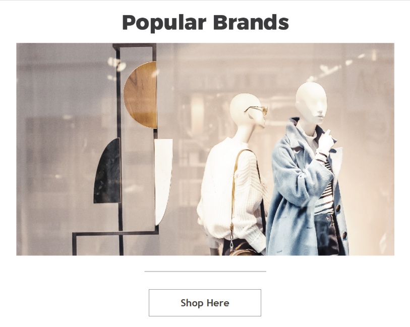 TSC Product Category - Popular Brands